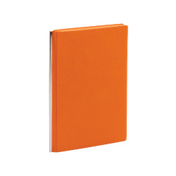 Ежедневник недатированный "Аскона", формат А5, гибкая обложка, оранжевый